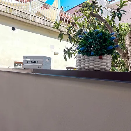 Panda Piano Terra In Pieno Centro A803 Διαμέρισμα Σαν Μπενεντέτο ντελ Τρόντο